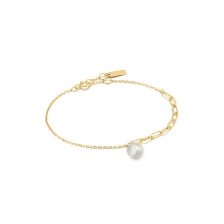 Ladies' Bracelet Ania Haie B019-02G 19 cm