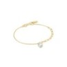 Ladies' Bracelet Ania Haie B019-02G 19 cm