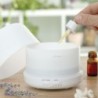 Aroma Diffuser Humidifier with Multicolour LED Steloured InnovaGoods