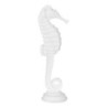 Decorative Figure White Sea Horse 15 x 12,5 x 45 cm