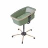 Carrycot Maxicosi All in 1 Green