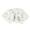 Decorative Figure White Coral 30 x 30 x 11 cm