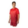 Men’s Short Sleeve T-Shirt Asics Kasame Red