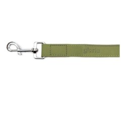 Dog Lead Gloria Oasis 1.5 x 100 cm Green