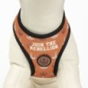 Dog Harness Star Wars Reversible Black M