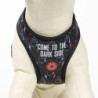 Dog Harness Star Wars Reversible Black M