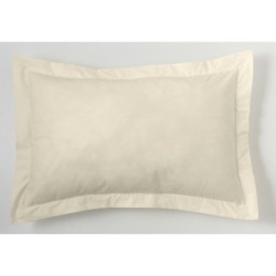 Cushion cover Alexandra House Living Cream 55 x 55 + 5 cm