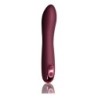 Vibrator Burgundy Rocks-Off