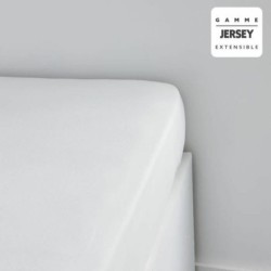 Fitted bottom sheet TODAY Jersey 160 x 190 cm White