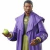 Action Figure Hasbro He Who Remains