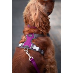 Dog Harness Red Dingo Dingo 38-58 cm 46-63 cm Purple M