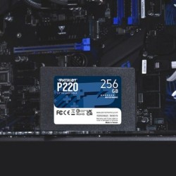 Hard Drive Patriot Memory P220 256GB 256 GB SSD