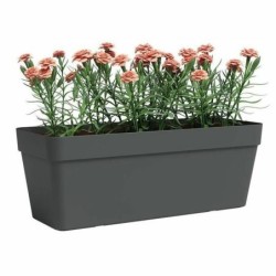 Plant pot Artevasi Anthracite 49,9 x 20 x 18,1 cm