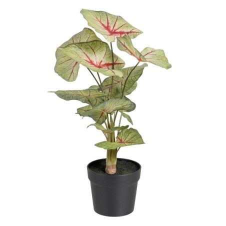 Decorative Plant Red Green PVC 40 x 35 x 55 cm