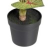 Decorative Plant Red Green PVC 40 x 35 x 55 cm