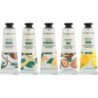 Cosmetic Set The Body Shop Hug & Squeeze 5 Pieces