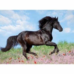 Puzzle Ravensburger 12803 Black Stallion XXL 200 Pieces