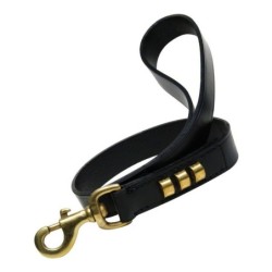 Dog Lead Gloria Duna 2,5 x 60 cm Black