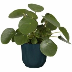 Plant pot Elho   Ø 22 cm Circular Dark blue Plastic