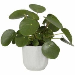 Plant pot Elho   Ø 22 cm White Plastic Circular