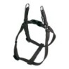 Dog Harness Gloria Adjustable Smooth Black M 47-71 cm