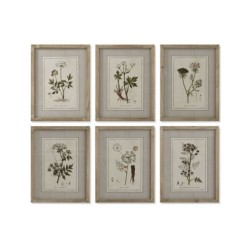 Painting Home ESPRIT Shabby Chic Botanical plants 30 x 2 x 40 cm (6 Units)