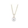 Ladies' Necklace Majorica 12265.01.1.000.010.1