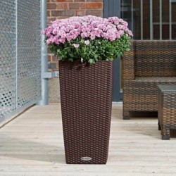 Self-watering flowerpot Lechuza Cottage Light grey 39,5 x 39,5 x 75,5 cm