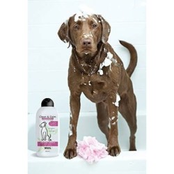 Pet shampoo Wahl Clean & Calm 750 ml