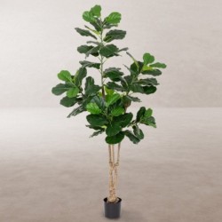 Decorative Plant Polyurethane Cement Fig Tree 175 cm