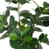 Decorative Plant Polyurethane Cement Fig Tree 175 cm