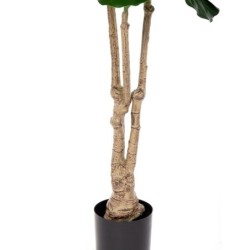 Decorative Plant Polyurethane Cement Fig Tree 175 cm