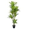 Decorative Plant Polyurethane Cement 180 cm