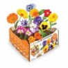 Cultivation Set Batlle Flowers Edible 19 x 19 x 10 cm