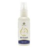 Delay Spray S Pleasures (50 ml)