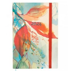 Diary Finocam Dynamic Casual 2024 acuarela Multicolour A5 14 x 20,4 cm