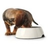 Dog Feeder Hunter Melamin Stainless steel White 350 ml (18,5 x 18,5 x 9,5 cm)