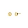 Ladies' Earrings Michael Kors MKC1483AN710