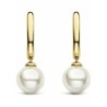 Ladies' Earrings Ti Sento 7939YP