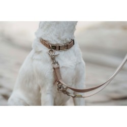 Dog collar Hunter Inari Beige 40-55 cm L