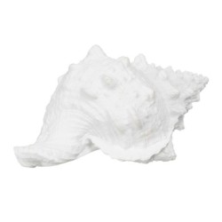 Decorative Figure White Snail 21 x 14 x 12 cm