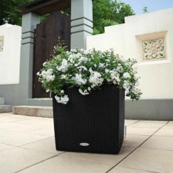 Self-watering flowerpot Lechuza Black 49 x 49 x 49,5 cm