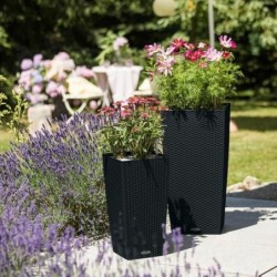 Plant pot Lechuza 40 x 40 x 76 cm