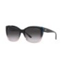 Ladies' Sunglasses Emporio Armani EA 4198