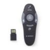 Laser Pointer GEMBIRD WP-L-01