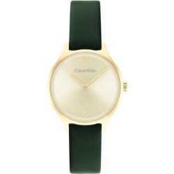 Ladies' Watch Calvin Klein 1681253