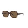 Ladies' Sunglasses Emporio Armani EA 4195