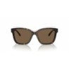 Ladies' Sunglasses Armani EA 4209