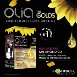 Dye No Ammonia Garnier Olia 54 ml