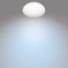 Ceiling Light Philips Plafón White Metal/Plastic 2100 W 10 W (4000 K)